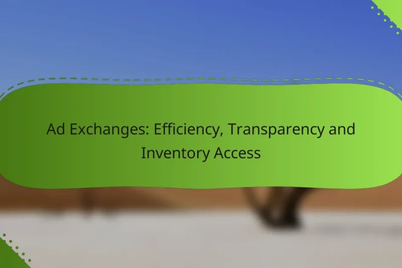 Ad Exchanges: Efficiency, Transparency and Inventory Access