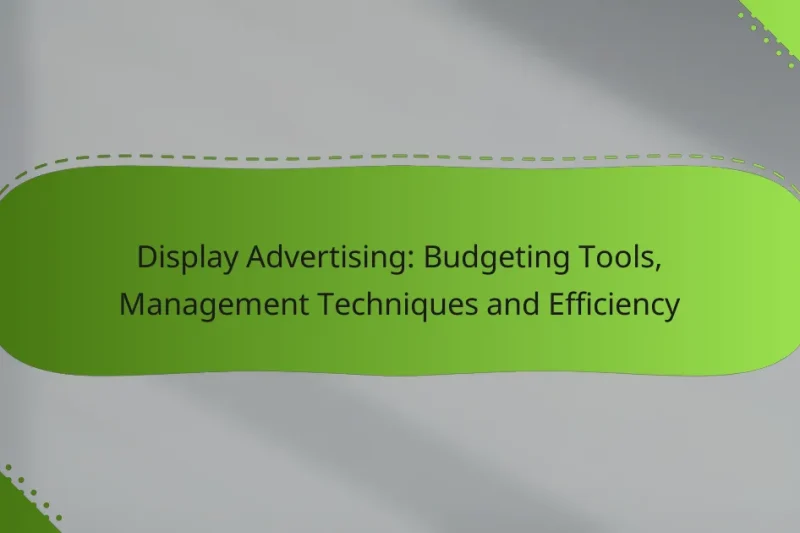 Display Advertising: Budgeting Tools, Management Techniques and Efficiency