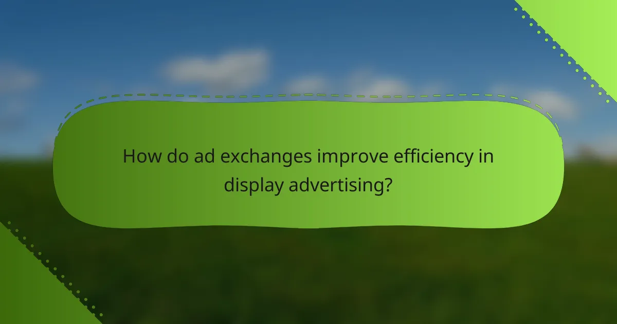 How do ad exchanges improve efficiency in display advertising?