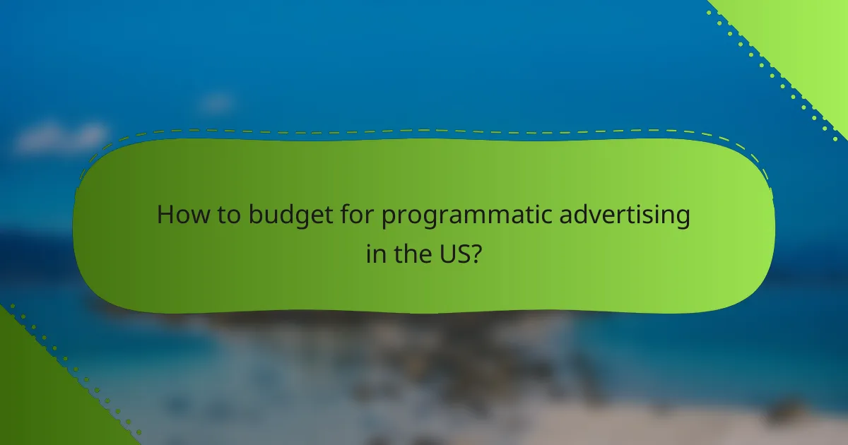 How to budget for programmatic advertising in the US?