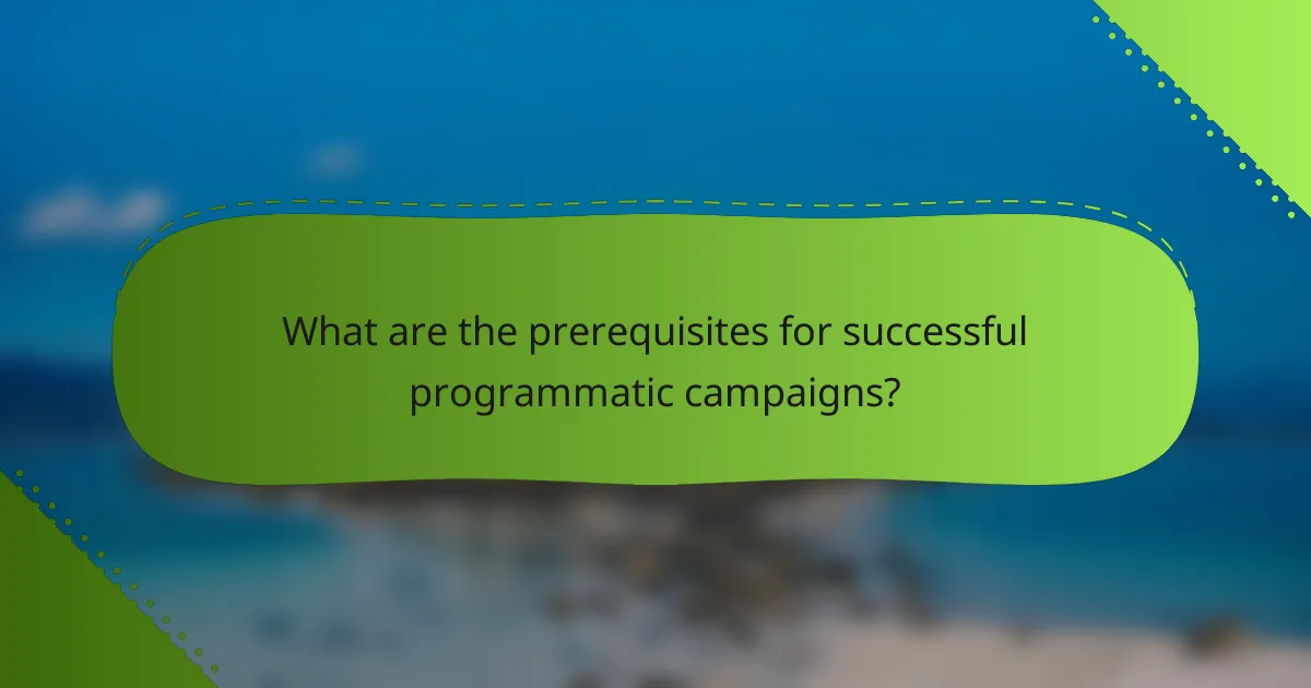 What are the prerequisites for successful programmatic campaigns?
