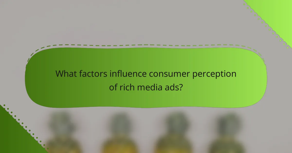 What factors influence consumer perception of rich media ads?